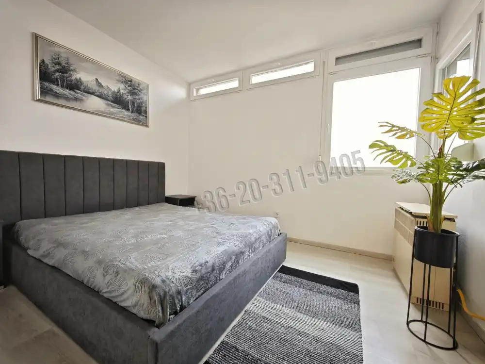 Csongrád megye - Szeged