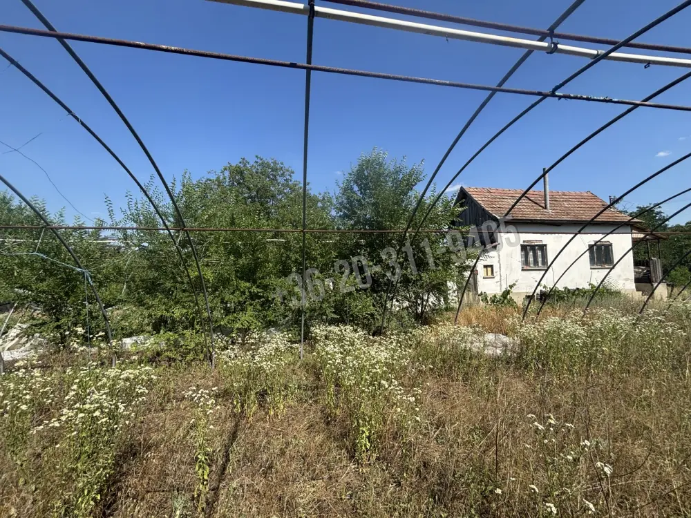 Csongrád megye - Sándorfalva
