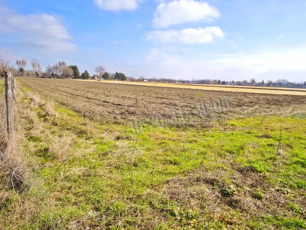 Csongrád megye - Szatymaz