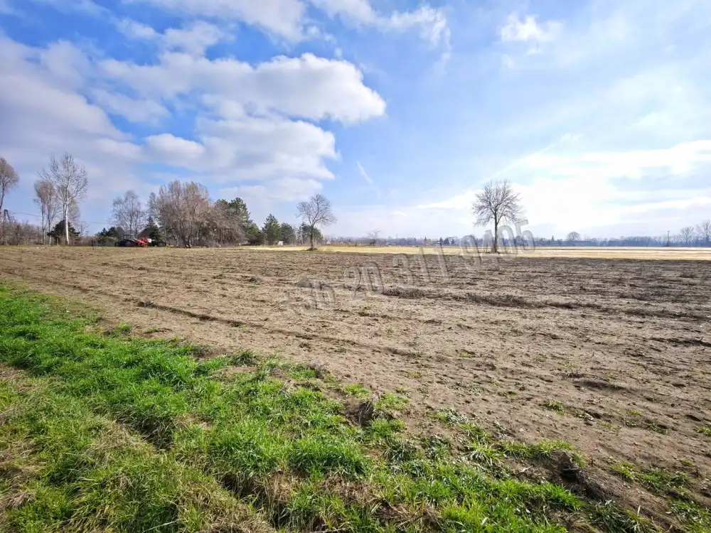 Csongrád megye - Szatymaz