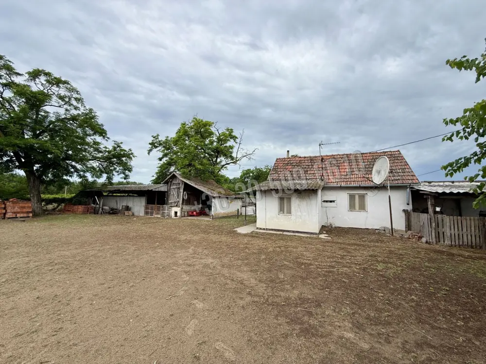 Csongrád megye - Zákányszék