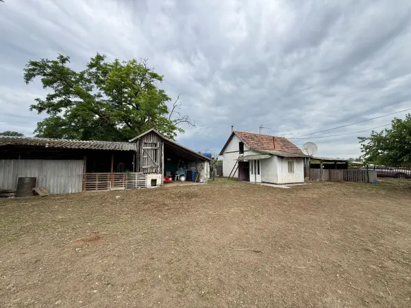 Eladó Gyümölcsös, Zákányszék 12245 m² 22 M Ft