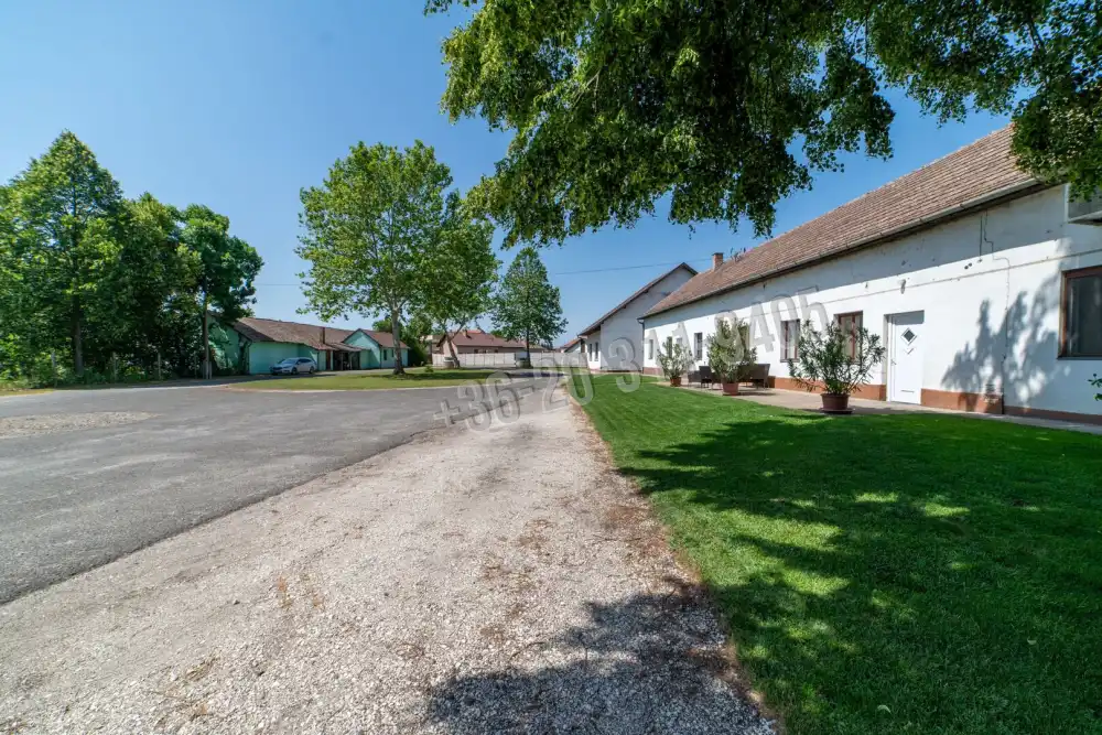 Csongrád megye - Domaszék