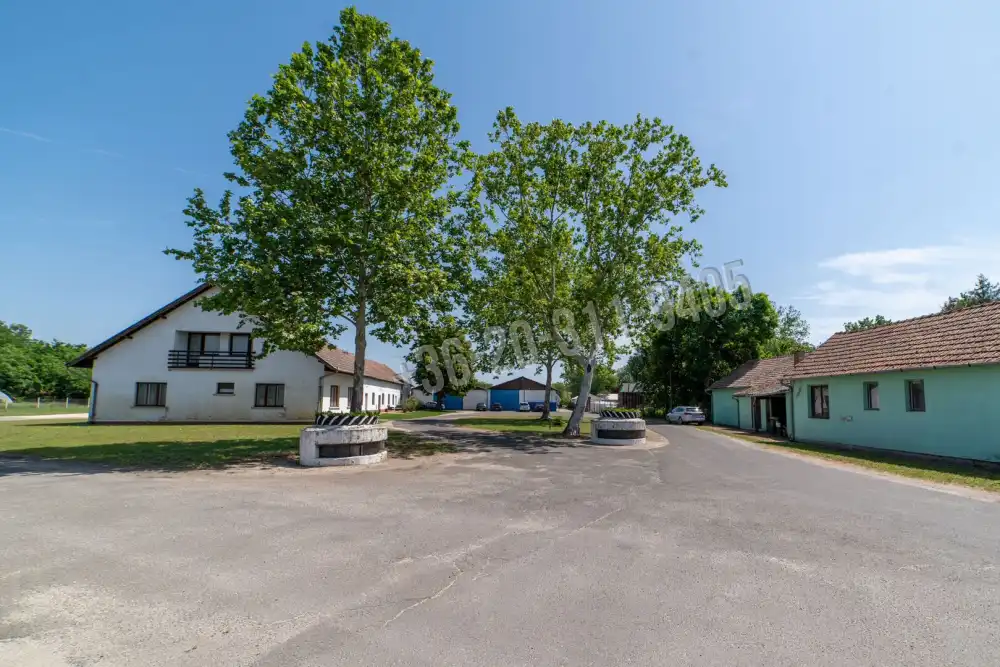 Csongrád megye - Domaszék