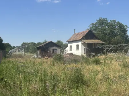 Eladó mezőgazdasági ingatlan, Sándorfalva 4379 m² 30 M Ft