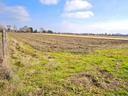 Eladó mezőgazdasági ingatlan, Szatymaz 16301 m² 4.5 M Ft