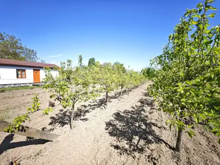 Eladó mezőgazdasági ingatlan, Szeged 1785 m² 25 M Ft