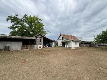 Eladó mezőgazdasági ingatlan, Zákányszék 12245 m² 22 M Ft