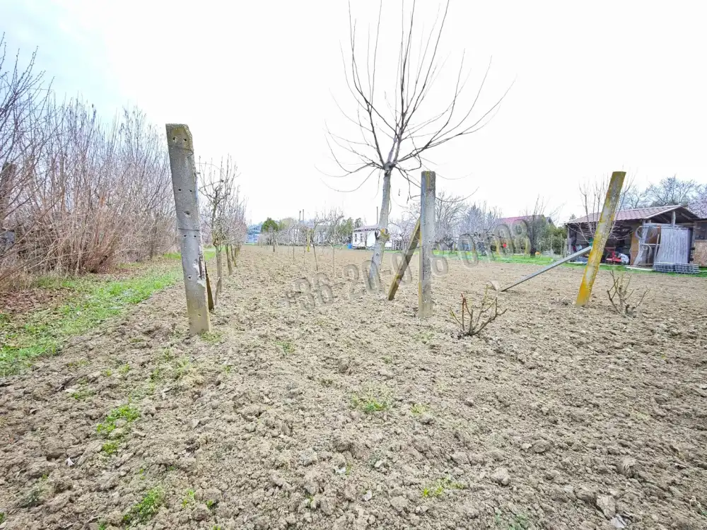 Csongrád megye - Szeged