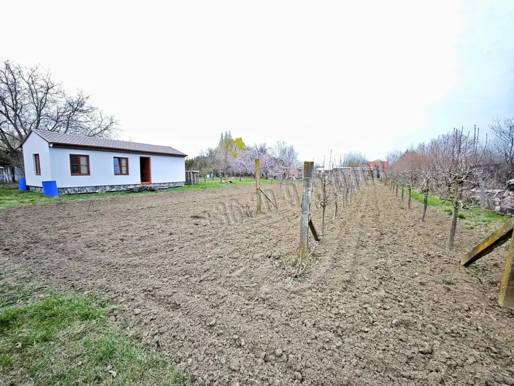 Csongrád megye - Szeged