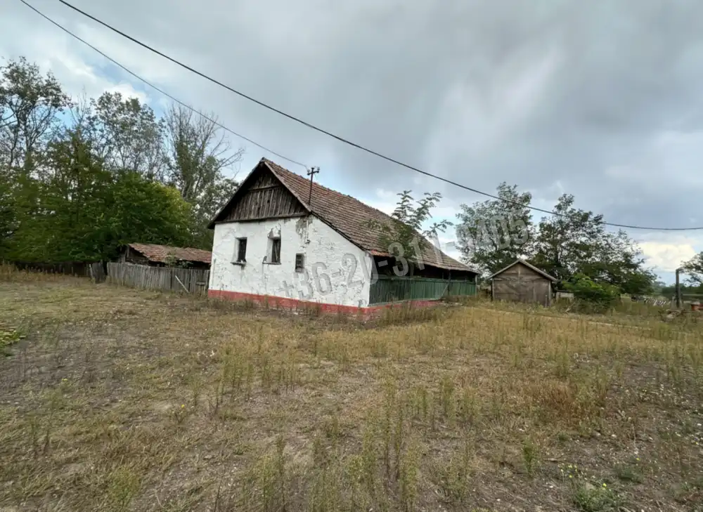 Csongrád megye - Ásotthalom