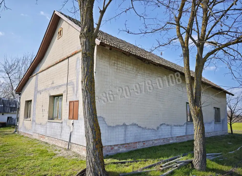 Csongrád megye - Forráskút