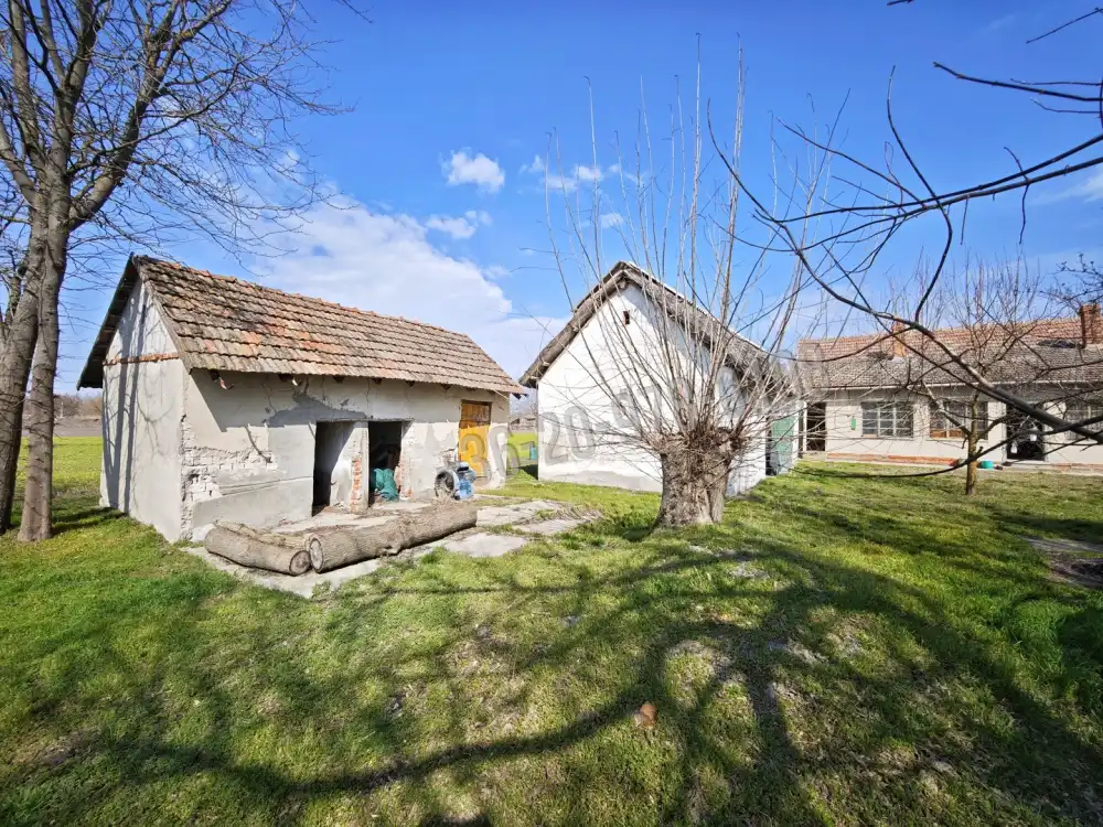 Csongrád megye - Forráskút