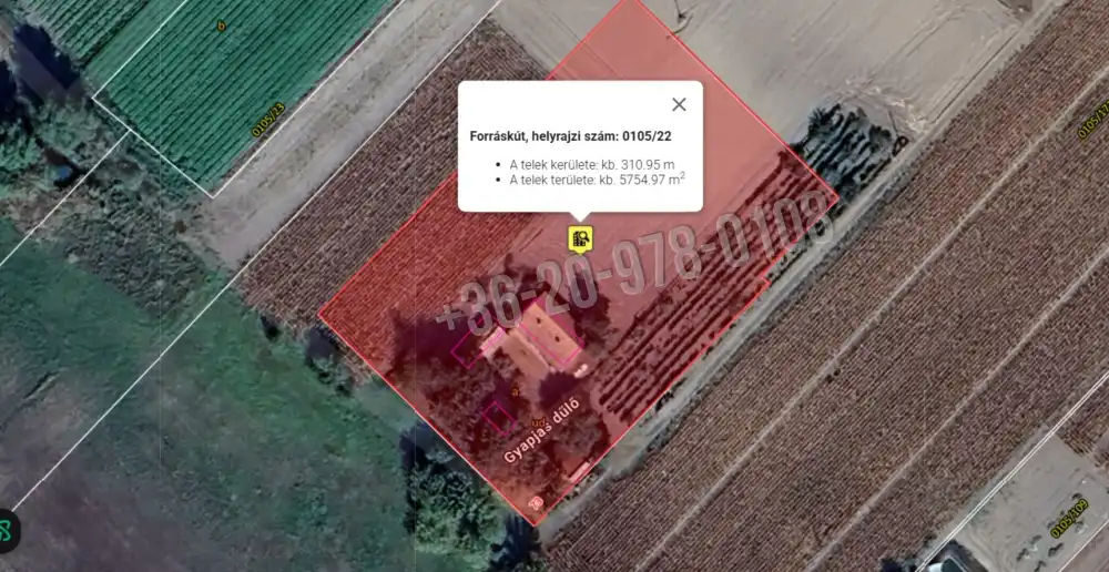 Csongrád megye - Forráskút