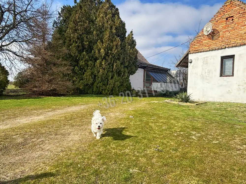 Csongrád megye - Szatymaz