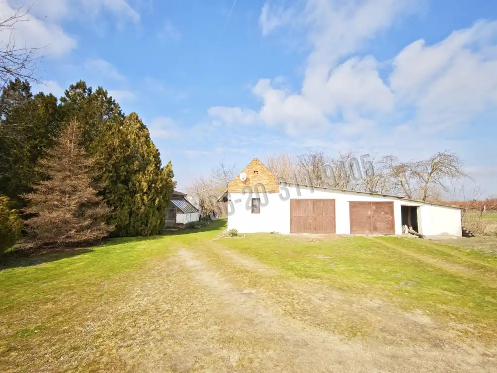 Csongrád megye - Szatymaz