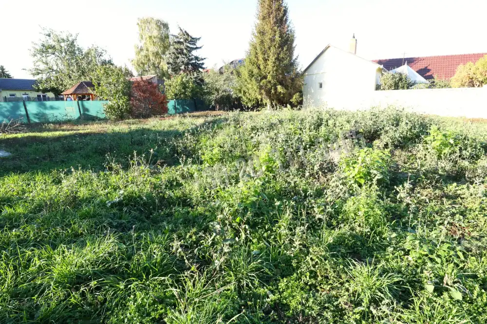 Csongrád megye - Szeged
